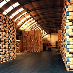 pavilhão industrial omega com telhado redondo, utilizado para armazenar paletes com cimento